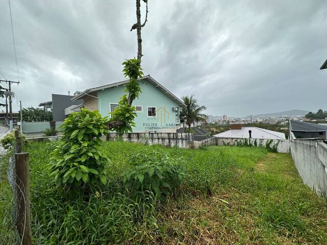 Área para Venda em Palhoça - 5
